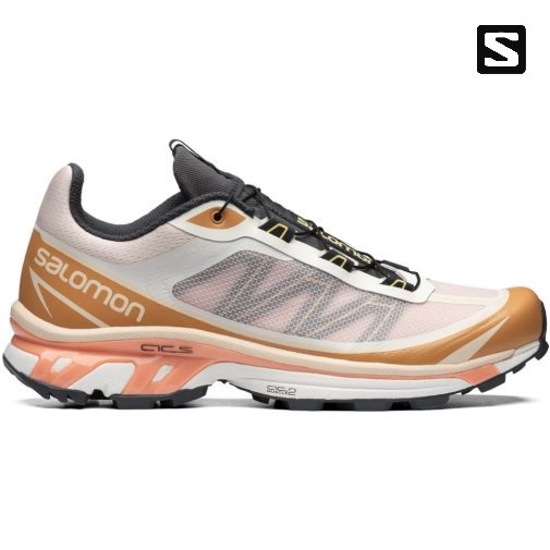 Salomon Xt-6 Ft Women's Sneakers Multicolor | CA 72I3